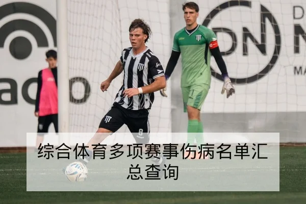 德甲球队进球构成与主客场得分数据查询